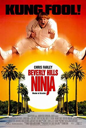 Beverly Hills Ninja (1997) Hindi Dubbed