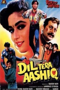 Dil Tera Aashiq (1993) Hindi Movie
