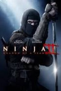 Ninja Shadow of a Tear (2013) Dual Audio Hindi Dubbed