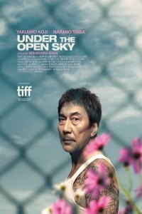 Under the Open Sky (2020) Hindi Dubbed